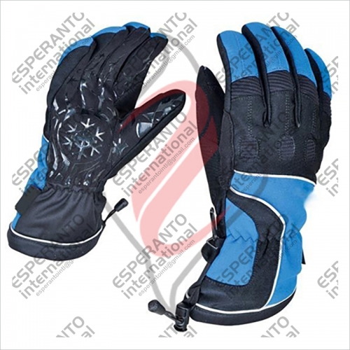 Ski Gloves