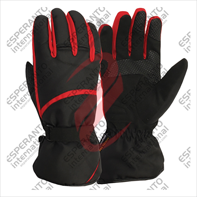 Ski Gloves