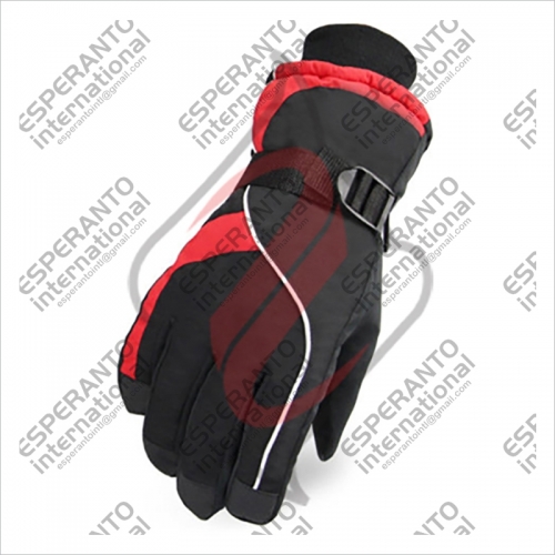 Ski Gloves