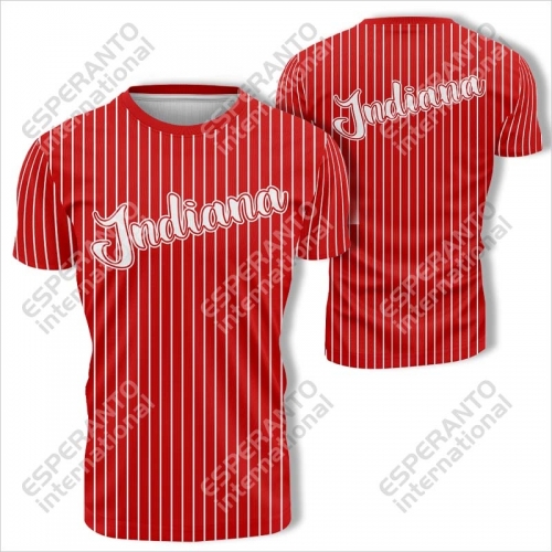 Baseball T-Shirt