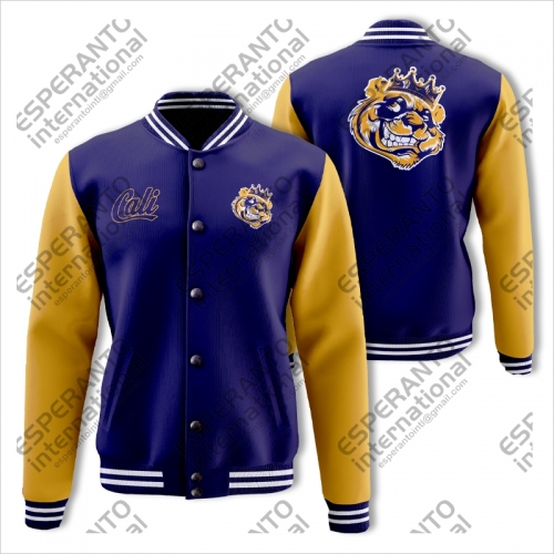 Varsity Jacket