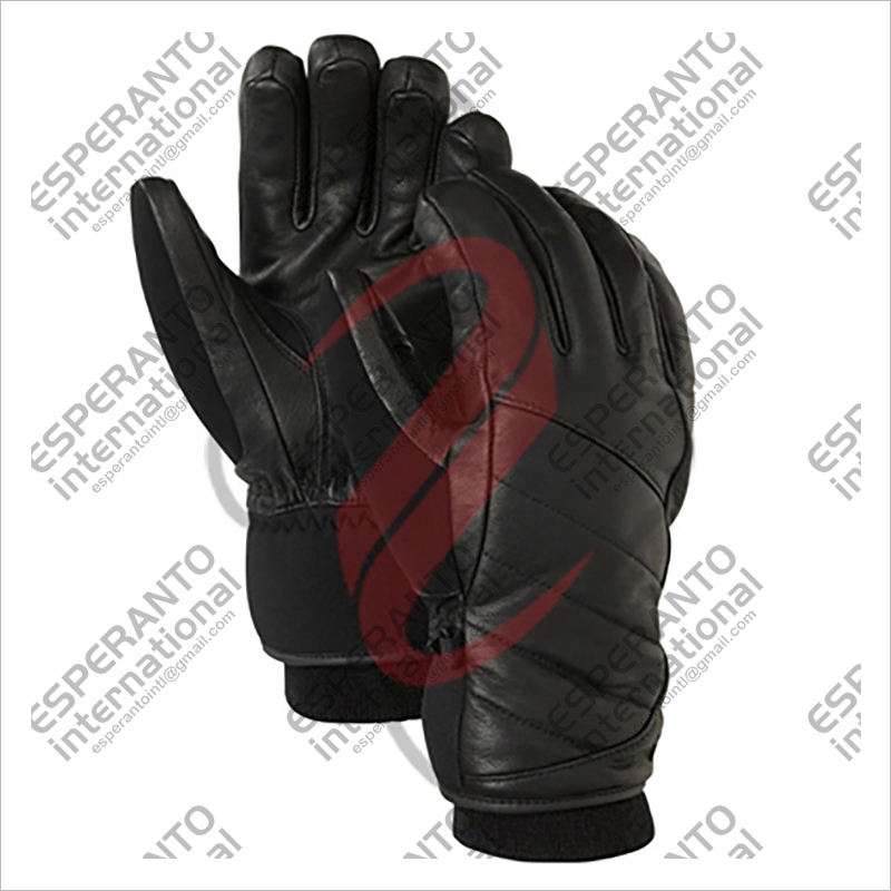 Ski Gloves