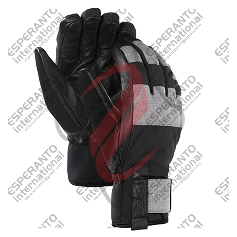 Ski Gloves