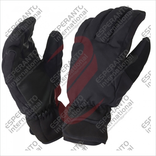 Winter Gloves