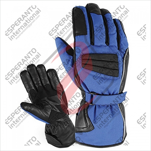 Ski Gloves