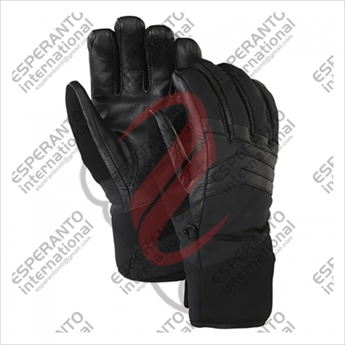 Ski Gloves